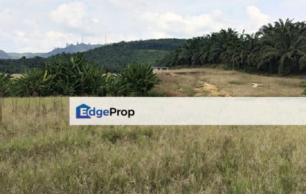 Semenyih Agricultural Land for sale, super valur, total 10.16 acres, Selangor, Semenyih