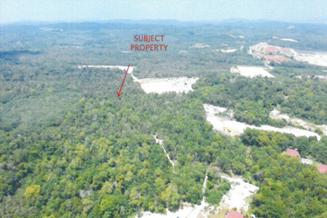 Marang Trengganu Development land for sale