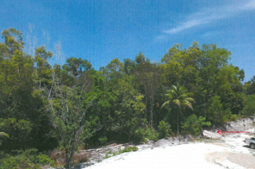 Marang Trengganu Development land for sale