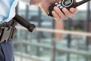 26 Ara Ville 3 storey Landed Property