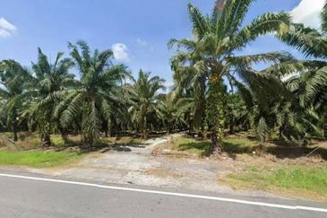 Teluk Intan Agriculture Land Zoning Industri