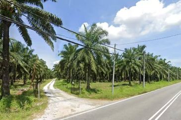 Teluk Intan Agriculture Land Zoning Industri