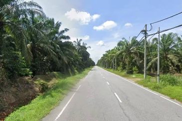 Teluk Intan Agriculture Land Zoning Industri