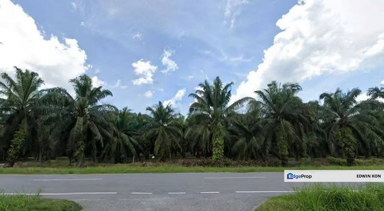 Teluk Intan Agriculture Land Zoning Industri, Perak, Teluk Intan