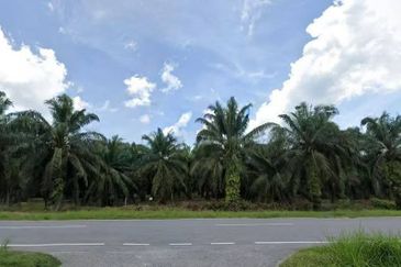 Teluk Intan Agriculture Land Zoning Industri
