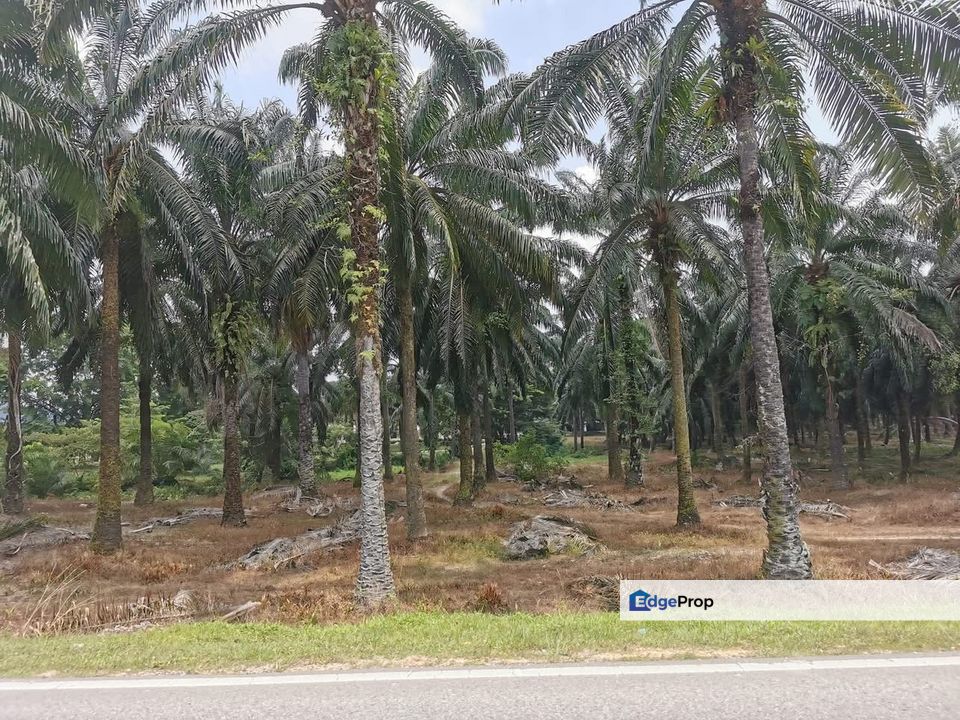 Jeram Industrial land for sale , Selangor, Kuala Selangor