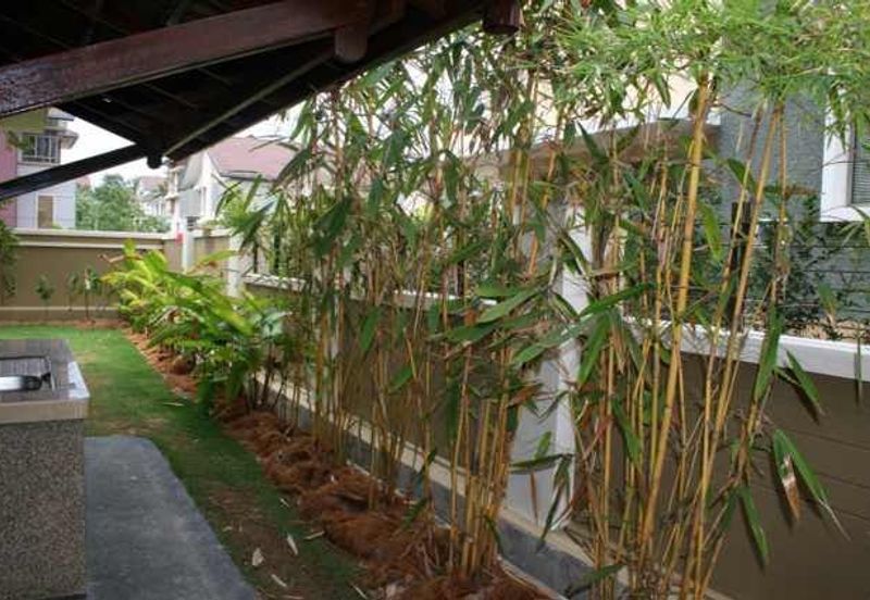 Changkat Kiara Surya