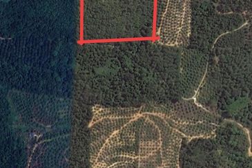 Raub Agri land 9.37 acres Freehold 45 minutes drive inland