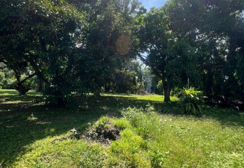 JALAN PANTAI PORT DICKSON