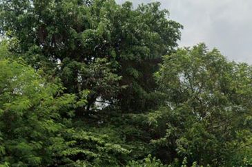 Agricultural land Kajang Kg Sg Tangkas 3 lots Freehold 