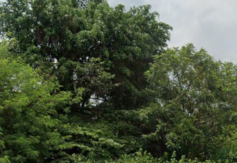 Agricultural land Kajang Kg Sg Tangkas 3 lots Freehold 