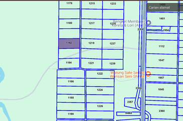 Pekan Pahang Agriculture land Malay Reserve off Lebuhraya Segamat - Kuantan 