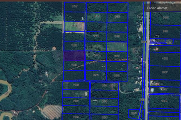 Pekan Pahang Agriculture land Malay Reserve off Lebuhraya Segamat - Kuantan 