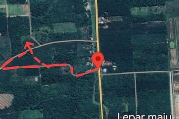 Pekan Pahang Agriculture land Malay Reserve off Lebuhraya Segamat - Kuantan 