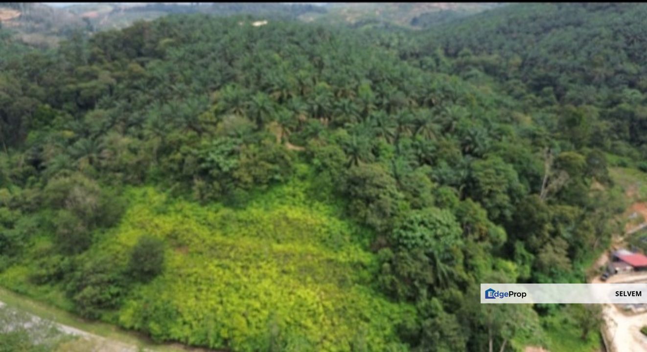 Raub District Sega Next to KL to Gua Musang Highway Agri land Hilly land Freehold, Pahang, Sega