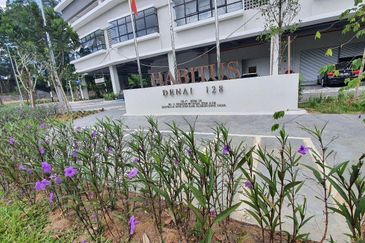 Habitus City of Elmina