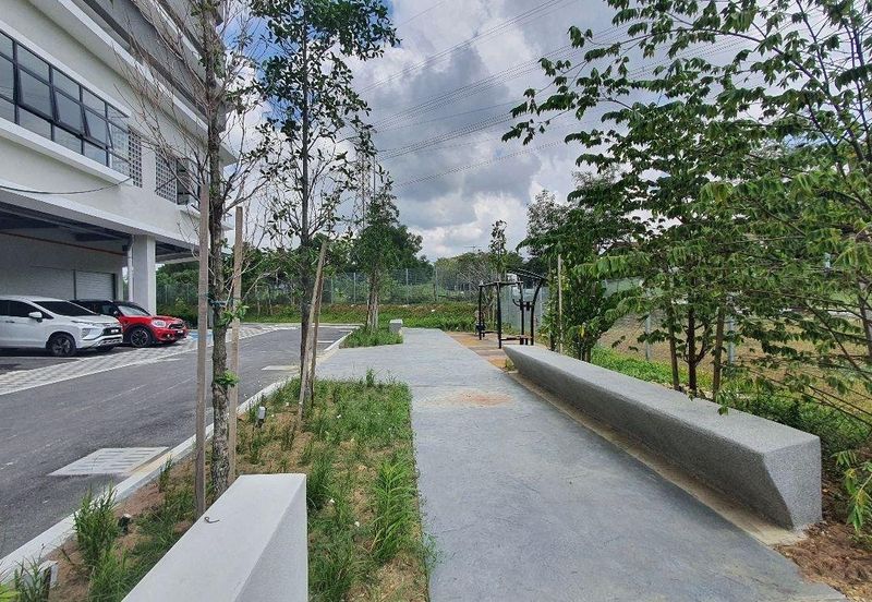 Habitus City of Elmina