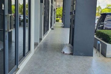 Eco Santuari The Summerset Shop