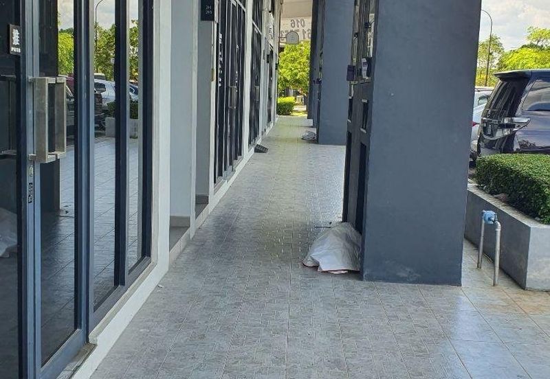 Eco Santuari The Summerset Shop