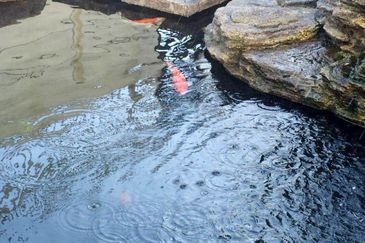 Bandar Tun Hussein Onn