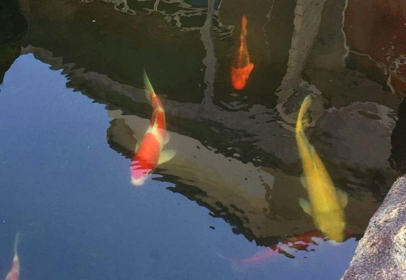 Bandar Tun Hussein Onn