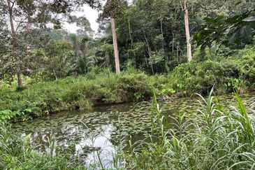 Agriculture land for Sale at Hulu Langat