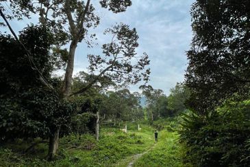 Agriculture land for Sale at Hulu Langat