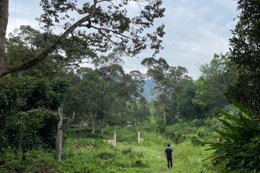 Agriculture land for Sale at Hulu Langat