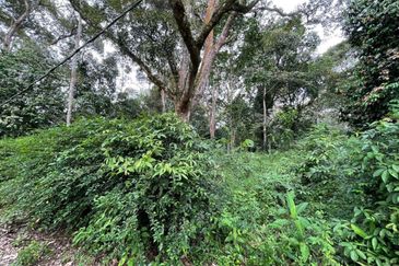 Agriculture land for Sale at Hulu Langat
