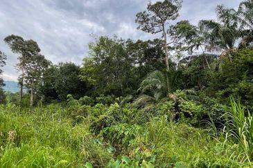 Agriculture land for Sale at Hulu Langat