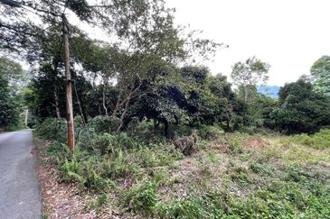 Hulu Langat Lubok Kelubi Agriland