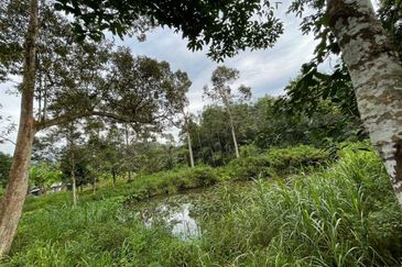 Hulu Langat Lubok Kelubi Agriland