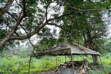 Hulu Langat Lubok Kelubi Agriland