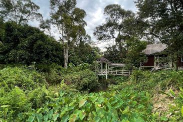 Hulu Langat Lubok Kelubi Agriland