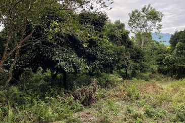 Hulu Langat Lubok Kelubi Agriland