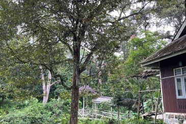 Hulu Langat Lubok Kelubi Agriland