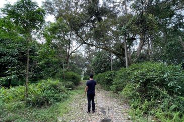 Hulu Langat Lubok Kelubi Agriland