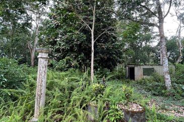 Hulu Langat Lubok Kelubi Agriland