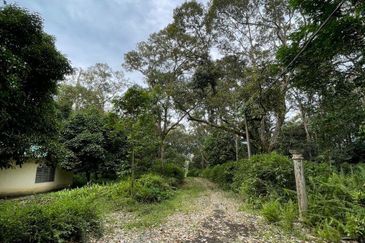 Hulu Langat Lubok Kelubi Agriland