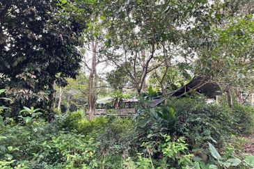 Hulu Langat Lubok Kelubi Agriland