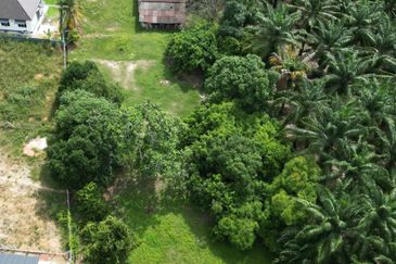 Pantai Pengkalan Balak