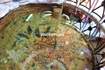 Tropicana Golf & Country Resort