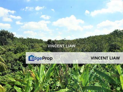 Prime Bungalow Land | 13,627 Sqft | Rm 440 Psf, Selangor, Tropicana