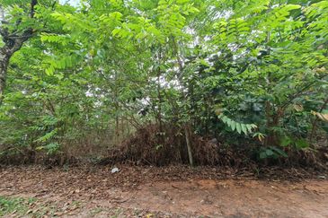 Seksyen 9, Kota Damansara