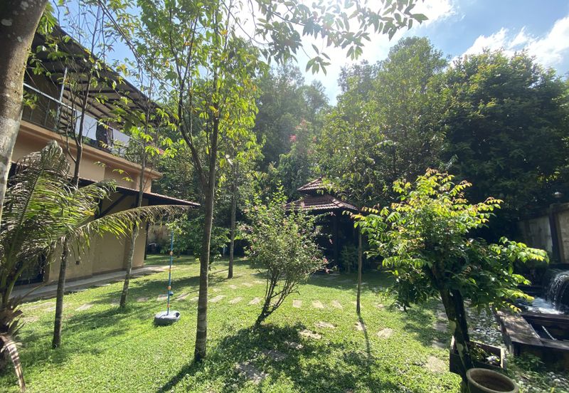 Jalan Rimba Riang 9/12