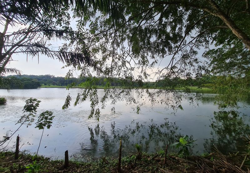 Freehold Bungalow @ Saujana Resort (Land size: 9,634 sqft)