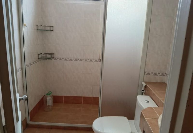 Petaling Jaya, Ara Damansara 