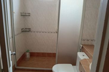 Petaling Jaya, Ara Damansara 