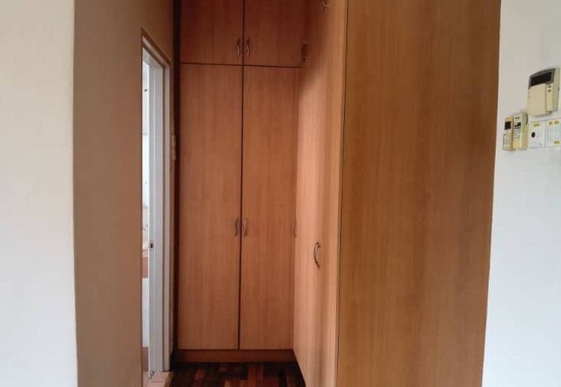 Petaling Jaya, Ara Damansara 