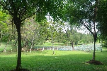 Casarina, Ara Damansara